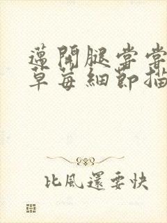 迈开腿尝尝你的草莓细节描写