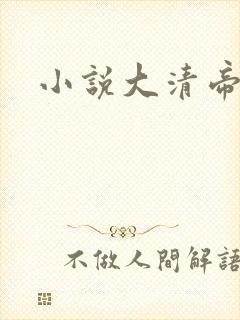 小说大清帝国