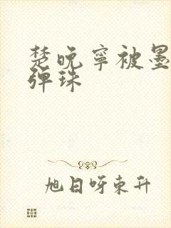 楚晚宁被墨燃塞弹珠