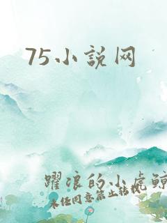 75小说网