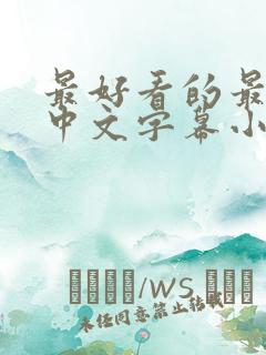 最好看的最新的中文字幕小说