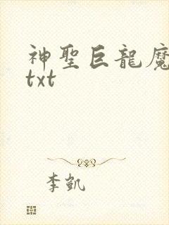 神圣巨龙魔法师txt