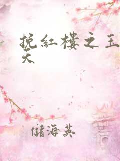 挽红楼之玉舞九天