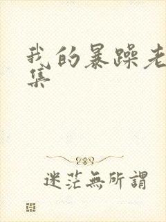 我的暴躁老妈全集