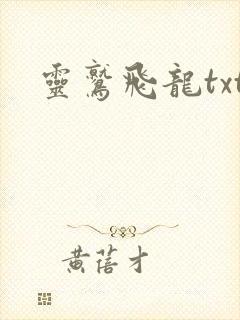 灵鹫飞龙txt