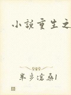 小说重生之官道