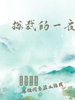 总裁的一夜情人