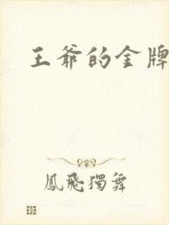 王爷的金牌暗卫