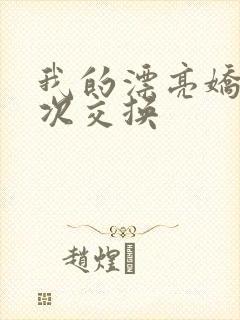 我的漂亮娇妻初次交换