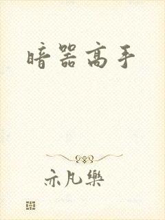 暗器高手
