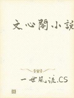 文心阁小说