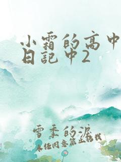 小霜的高中成长日记中2