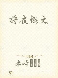 将夜燃文