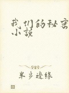 我们的秘密泰剧小说