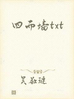 四面墙txt