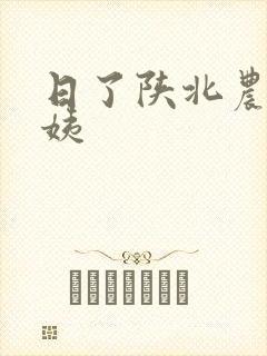 日了陕北农村婆姨