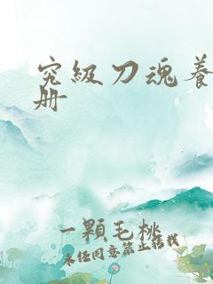 究级刀魂养成手册