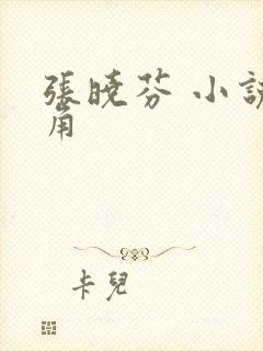 张晓芬 小说主角