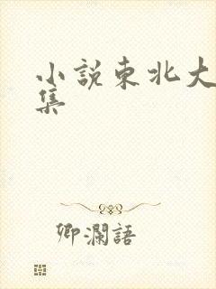 小说东北大炕全集