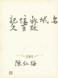 记住此域名记永久有效