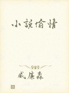 小说偷情