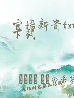 官场新贵txt下载