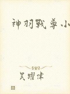 神羽战尊小说