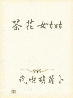茶花女txt