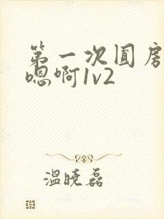 第一次圆房～h嗯啊1v2