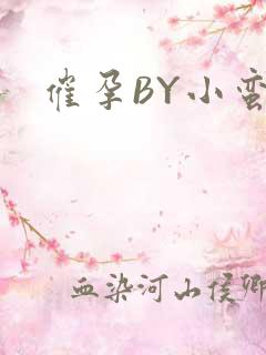 催孕BY小蛮腰