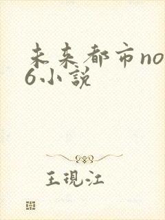 未来都市no.6小说