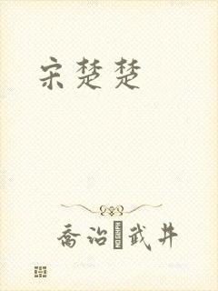 宋楚楚