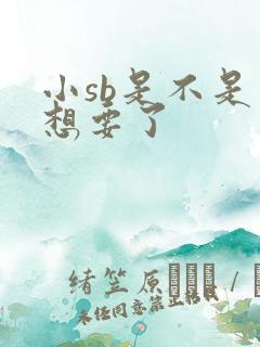 小sb是不是又想要了
