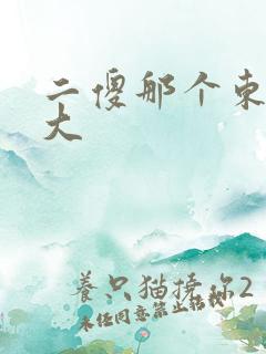二傻那个东西真大