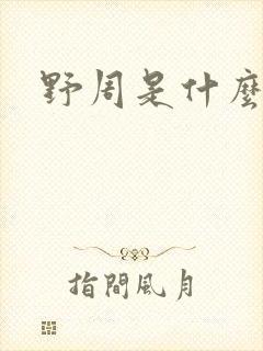 野周是什么意思