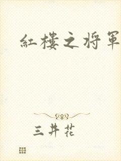红楼之将军