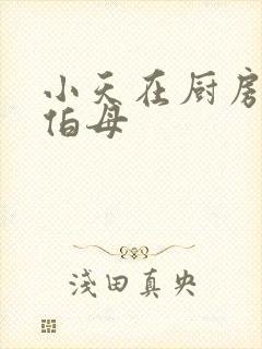 小天在厨房插杨伯母