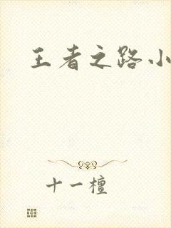 王者之路小说