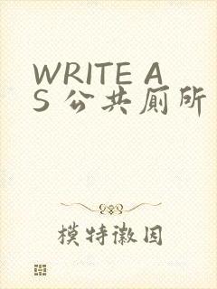 WRITE AS 公共厕所