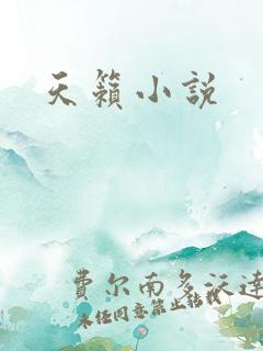 天籁小说
