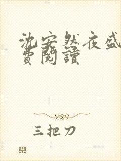 沈安然夜盛霆免费阅读