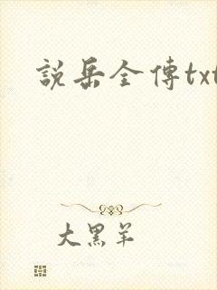 说岳全传txt
