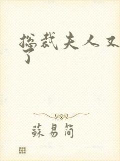 总裁夫人又征婚了