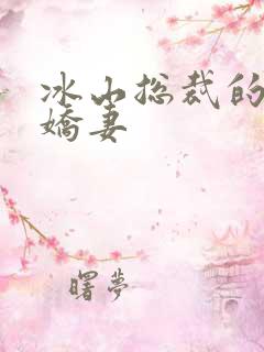 冰山总裁的掠爱娇妻