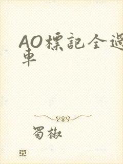 AO标记全过程车