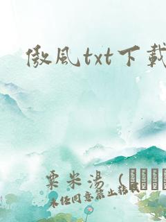 傲风txt下载