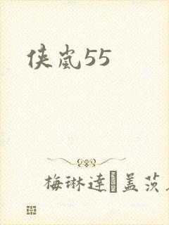 侠岚55