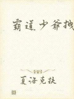 霸道少爷拽上我