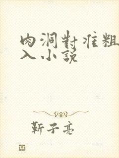 肉洞对准粗大坐入小说