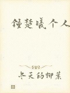 钟楚曦个人简历